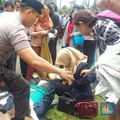 Korban Luka Berjatuhan Setelah Lantai Gedung BEI Ambruk