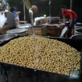 Diam-diam Harga Kedelai Turun, Ada Apa?