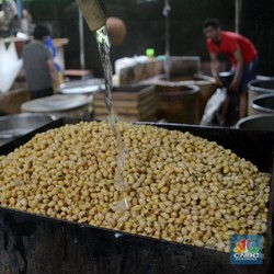 Diam-diam Harga Kedelai Turun, Ada Apa?