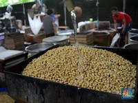 Diam-diam Harga Kedelai Turun, Ada Apa?