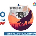 Serigala Pembunuh Macan Asia