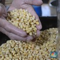 Untungkah Indonesia dalam Perang Dagang dengan AS?