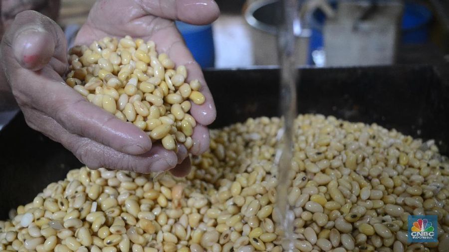 Meksiko disebut sedang kaji pengenaan bea impor untuk jagung dan kedelai AS sebagai balasan tarif impor AS.