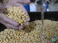 Meksiko Dikabarkan Kaji Bea Impor untuk Jagung & Kedelai AS