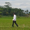 Duh! Nilai Tukar Petani Turun, Bagaimana Kesejahteraannya?