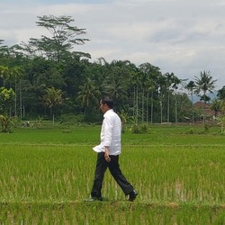 Duh! Nilai Tukar Petani Turun, Bagaimana Kesejahteraannya?