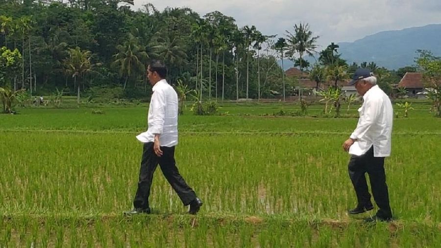 Presiden Joko Widodo meninjau lokasi program padat karya tunai irigasi di Tasikmalaya