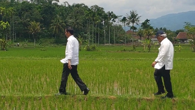 Presiden Joko Widodo meninjau lokasi program padat karya tunai irigasi di Tasikmalaya