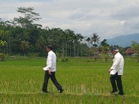 Duh! Nilai Tukar Petani Turun, Bagaimana Kesejahteraannya?