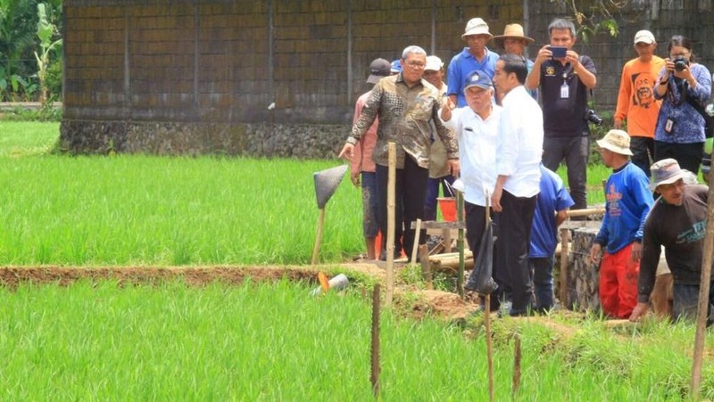 Presiden Joko Widodo meninjau lokasi program padat karya tunai irigasi di Tasikmalaya