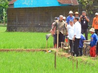 Dana Desa Rp 22 T Digeser Buat Bantuan Langsung Tunai