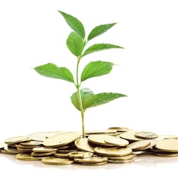 SBR012 vs Deposito Bank, Lebih Cuan Mana?