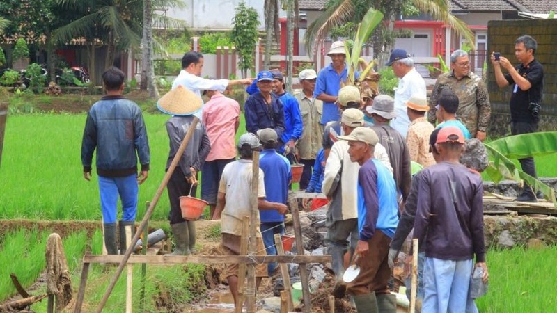 Presiden Joko Widodo meninjau lokasi program padat karya tunai irigasi di Tasikmalaya