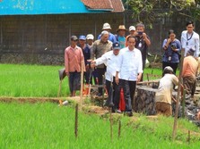 Jokowi: Kita Semua Harus Kompak Agar Ekonomi Lari Kencang