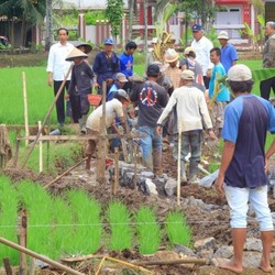 Jokowi Tebar Duit Rp 6 T Serap Hampir 300 Ribu Lowongan Kerja