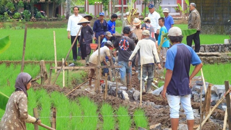 Presiden Joko Widodo meninjau lokasi program padat karya tunai irigasi di Tasikmalaya