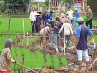 Jokowi Tebar Duit Rp 6 T Serap Hampir 300 Ribu Lowongan Kerja