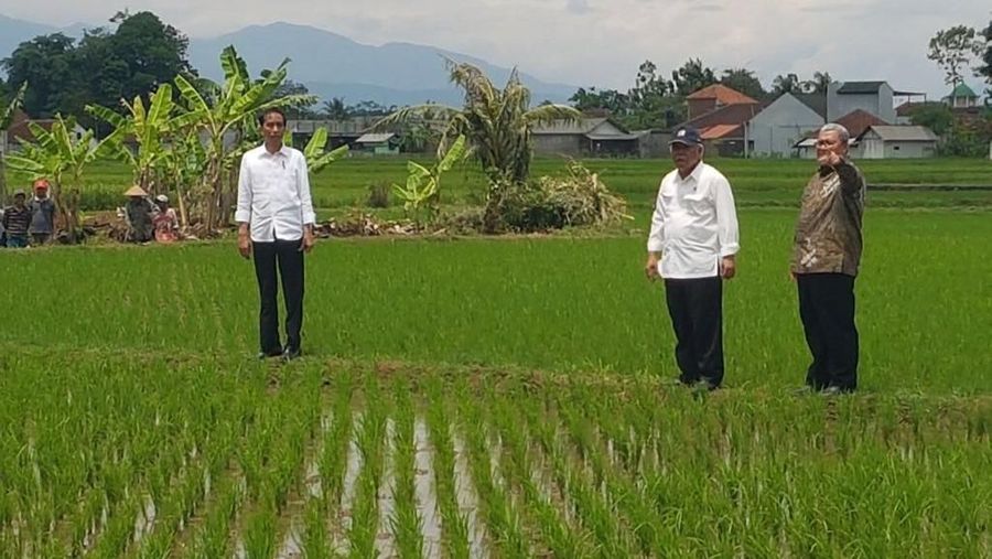 Harga beras lebih tinggi dibandingkan gabah. Karena itu, Presiden Jokowi Mendorong agar petani dapat menjual Beras.