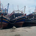 Potensi 2,6 Juta Tangkapan Ikan, Ekspor Didorong ke Timur RI