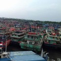 Cantrang, Kawan atau Ancaman?