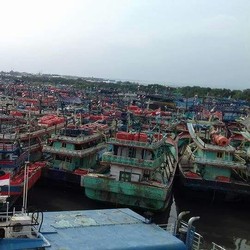 Cantrang, Kawan atau Ancaman?