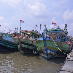 Nelayan Cirebon Mancing di Laut Jawa, Nyangkut Harta Karun Rp 720 M