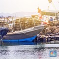 Duh! 400 Ribu Pelaut RI Tertahan di Laut Akibat Pandemi Covid