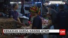 Harga Ayam Naik Meski Surplus Produksi