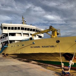Pengiriman Sapi Diminta Lewat Tol Laut, Ada Apa?