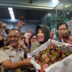Ekspor Buah RI ke China Melesat, Dari Manggis Hingga Pisang