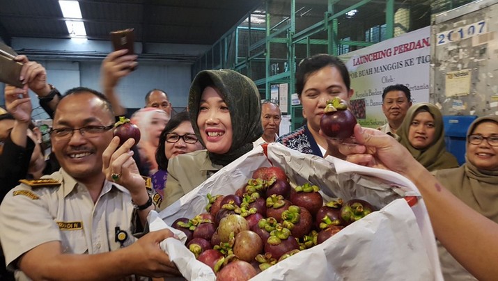 Manggis, buah asli Indonesia ini akhirnya bisa dinikmati masyarakat China.