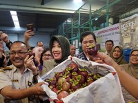 Sempat Ditolak, Buah Asli Indonesia Ini Bakal Mampir ke China