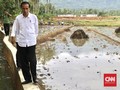 Opsi Jokowi Relokasi Warga Asmat Ditolak, Pembangunan Dikebut