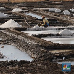RI Mau Tutup Keran Impor Garam, KKP Godok Regulasi Baru