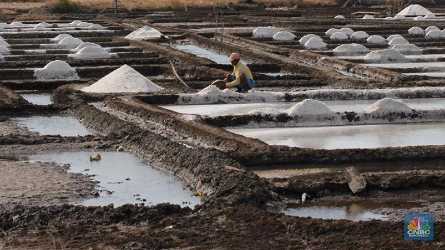 Pengusaha Mamin Mau Pakai Garam Rakyat, Tapi Ini Syaratnya