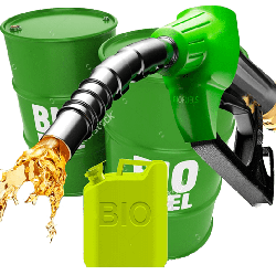 Siapa yang Untung Bila Program Biodiesel Sukses?