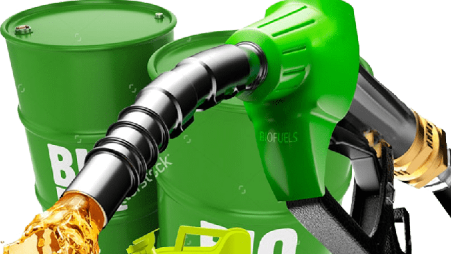 Resmi Naik! Harga Biodiesel RI Tembus Rp 14.290/Liter, Berlaku April