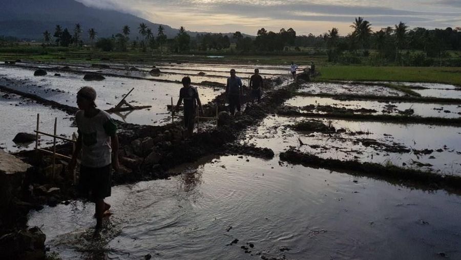 Presiden Joko Widodo meninjau lokasi Padat Karya Tunai Irigasi di Desa Pasuruan, Kecamatan Penengahan, Lampung, Minggu (21/01/2018).