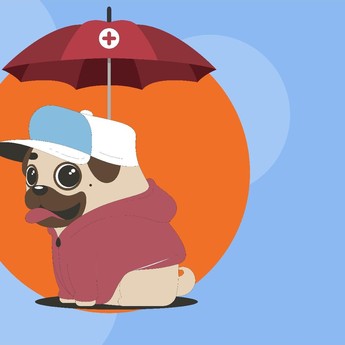 Asuransi-asuransi Unik di Indonesia