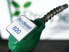 Pandemi Covid-19, Apa Kabar Program Biodiesel RI?