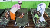 Pemerintah pusat mengklaim antisipasi campak dan gizi buruk sejak September tahun lalu. Namun penanganan di lapangan terkendala kondisi geografis dan koordinasi dengan Pemda. (Antara/M Agung Rajasa)