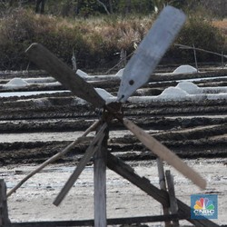 Garam Impor 676.000 Ton Segera Masuk RI