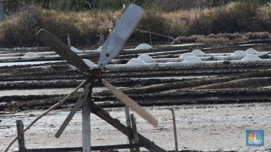 Kementerian Perindustrian merekomendasikan 676.000 ton garam impor untuk industri. 