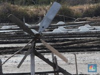 Gagalnya Industri Garam RI