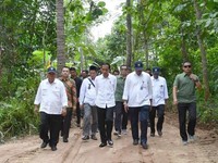 Turun ke Sawah, Jokowi  Tinjau Program Padat Karya Tunai