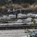 Bocoran Terbaru KKP, Begini Target Produksi dan Swasembada Garam RI