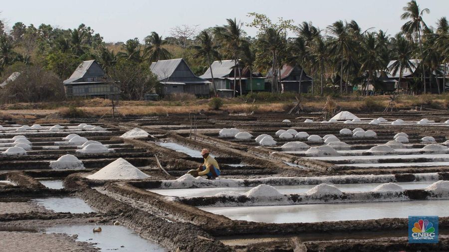 Tata Niaga Garam RI Masih Buruk