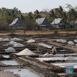 'Ngenes' Banget, Harga Garam Rakyat Cuma Rp 100/Kg