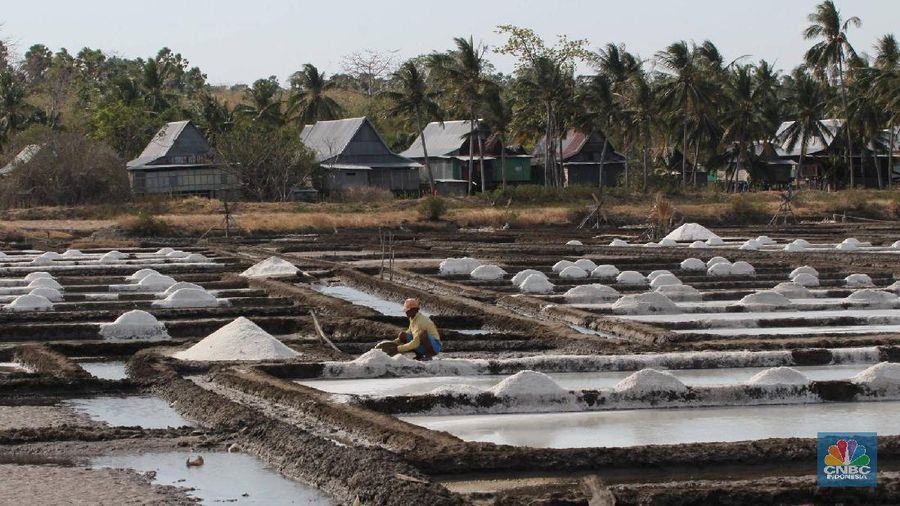 Sepanjang tahun lalu, penyerapan garam petani hampir 90% dari produksi garam lokal 1,2 juta ton.