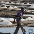 Kecewanya Petambak Garam Karena Hak Menteri Susi Dicabut